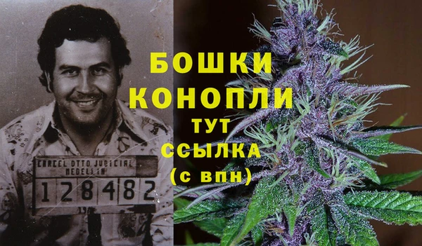 каннабис Верея